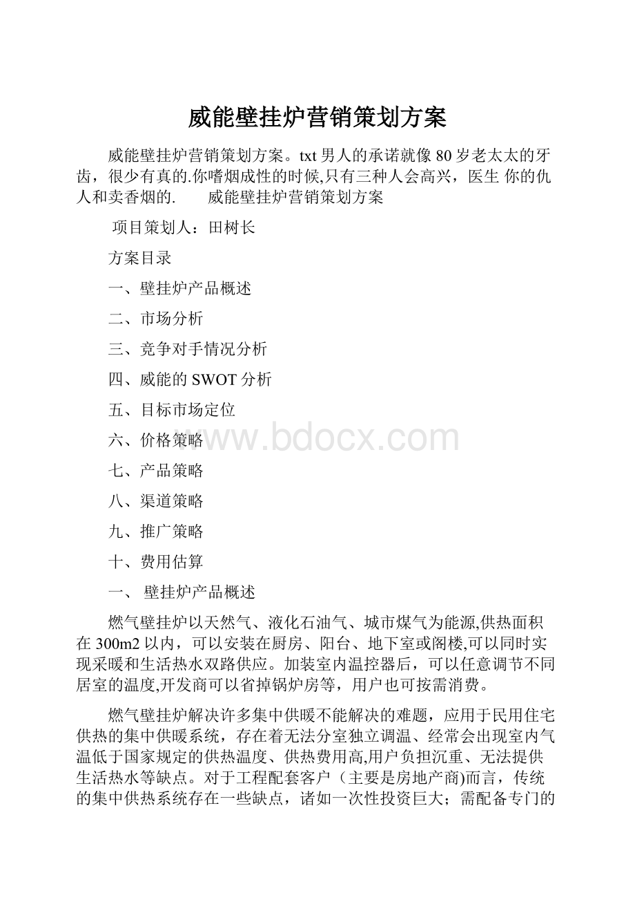 威能壁挂炉营销策划方案.docx