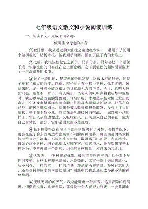 七年级语文散文和小说阅读训练.docx