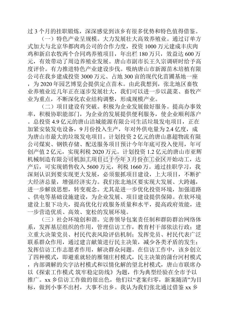 挂职干部个人工作总结.docx_第2页