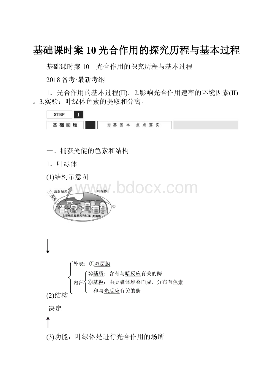 基础课时案10光合作用的探究历程与基本过程.docx