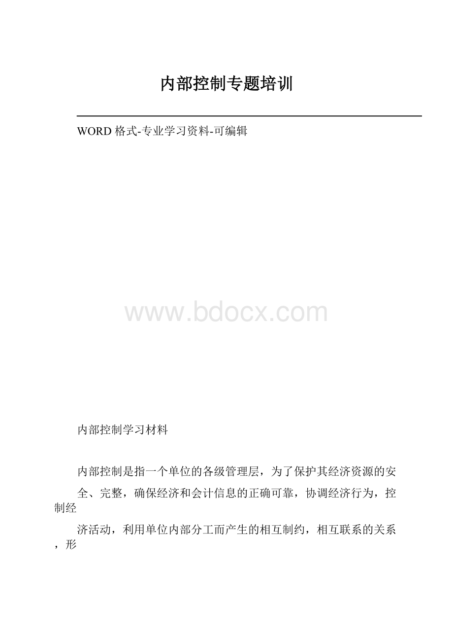 内部控制专题培训.docx