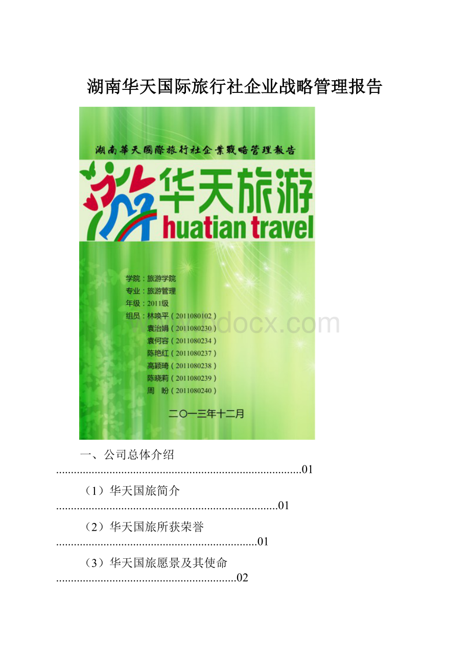 湖南华天国际旅行社企业战略管理报告.docx_第1页