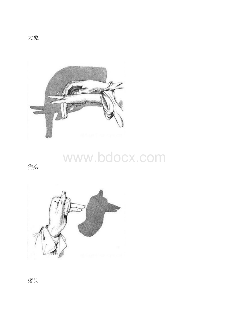 手把手教你如何在墙上显示动物.docx_第3页