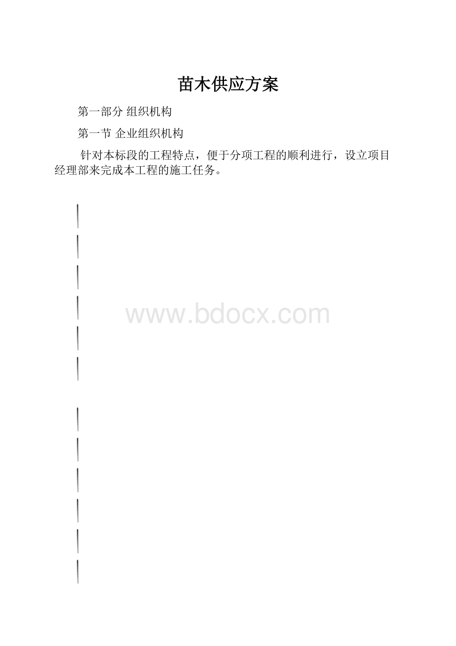 苗木供应方案.docx