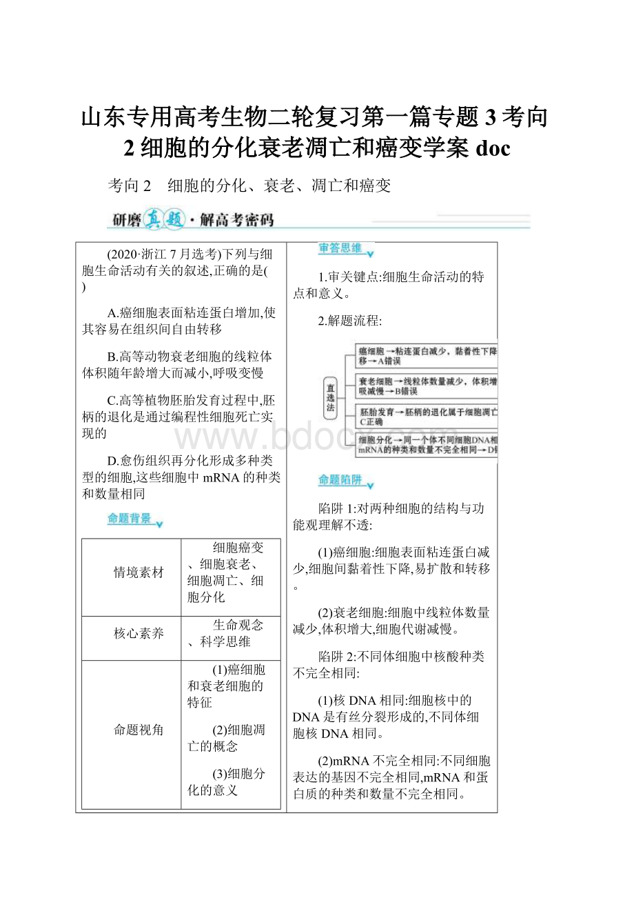 山东专用高考生物二轮复习第一篇专题3考向2细胞的分化衰老凋亡和癌变学案doc.docx