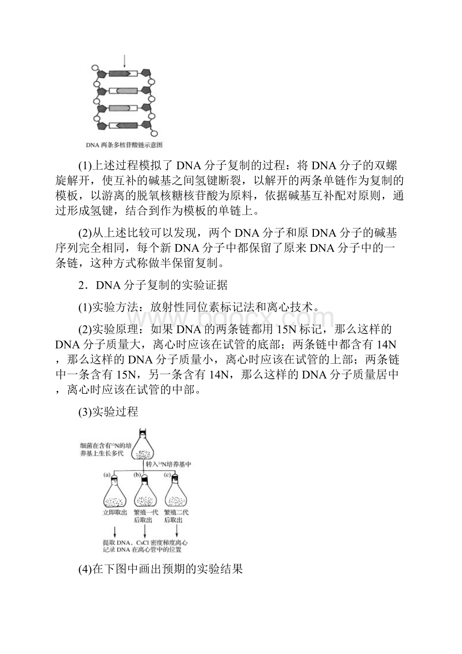 北师大版高考生物必修2同步检测试题第3章 第8课时 遗传信息的复制.docx_第2页