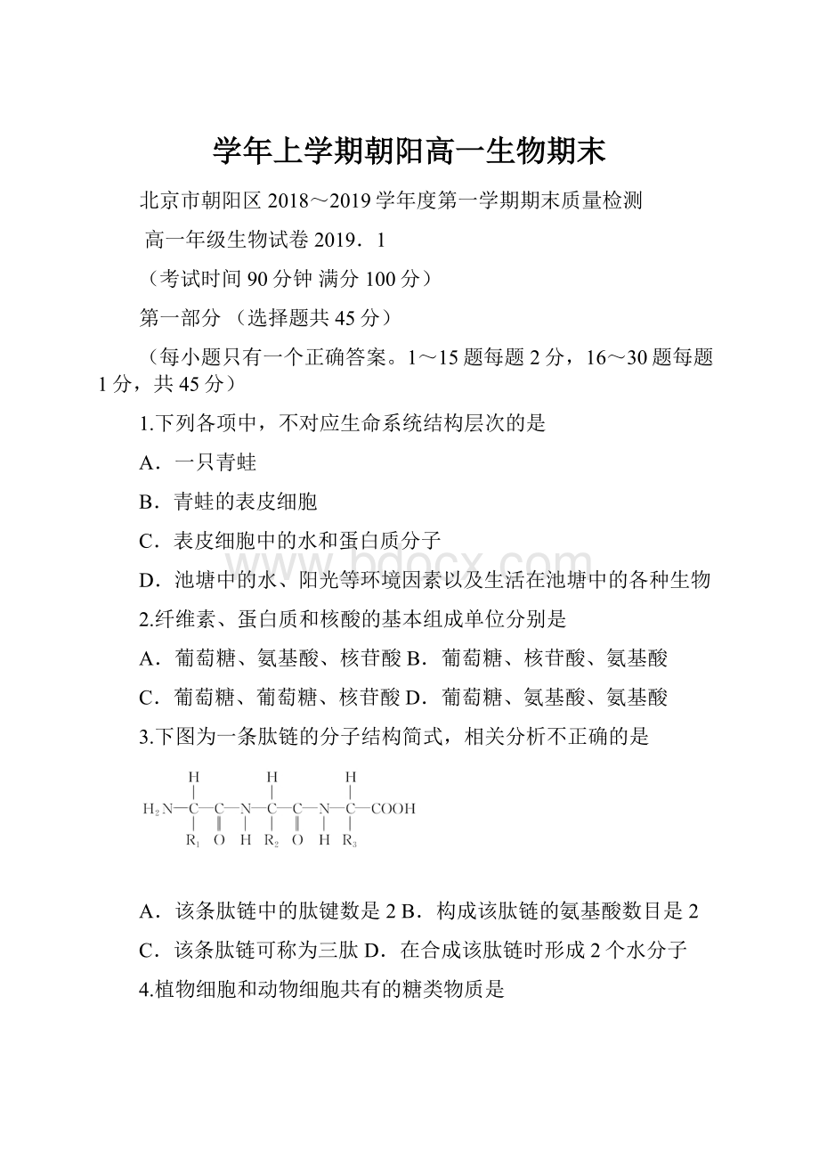 学年上学期朝阳高一生物期末.docx_第1页