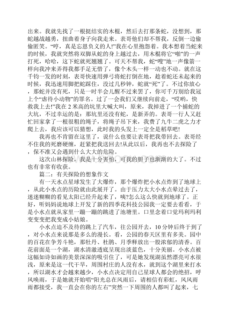 探险的想象作文大全.docx_第2页