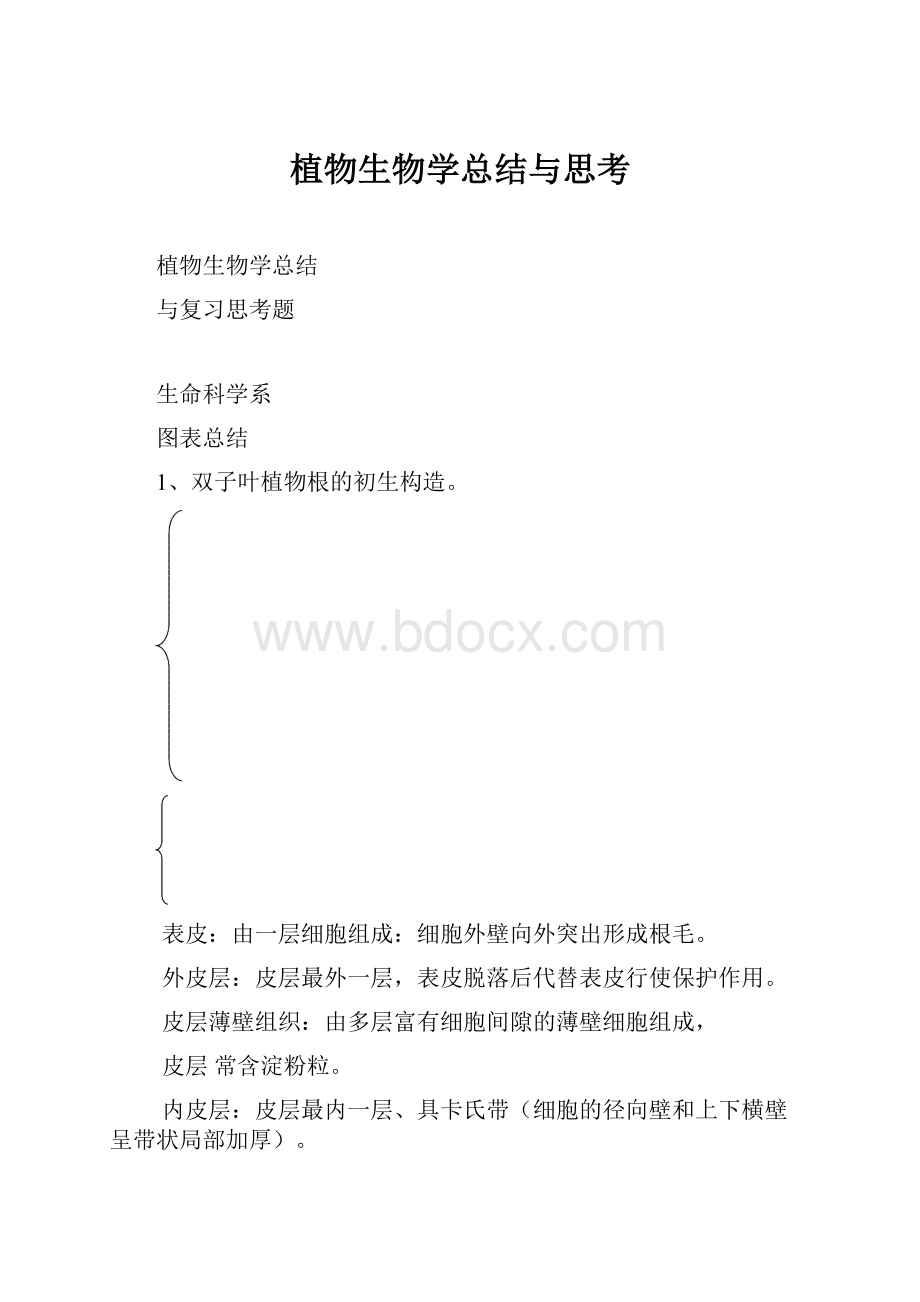 植物生物学总结与思考.docx