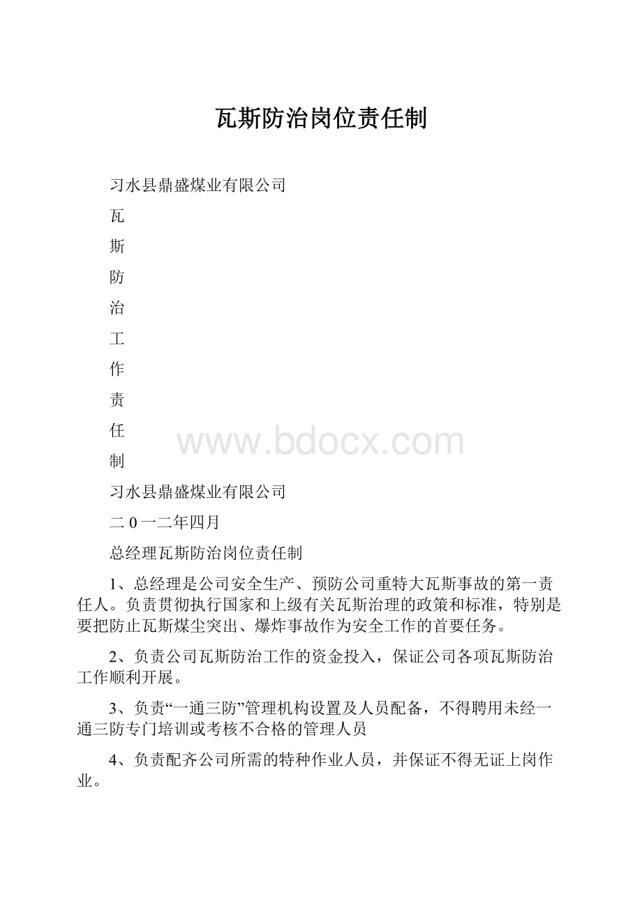 瓦斯防治岗位责任制.docx