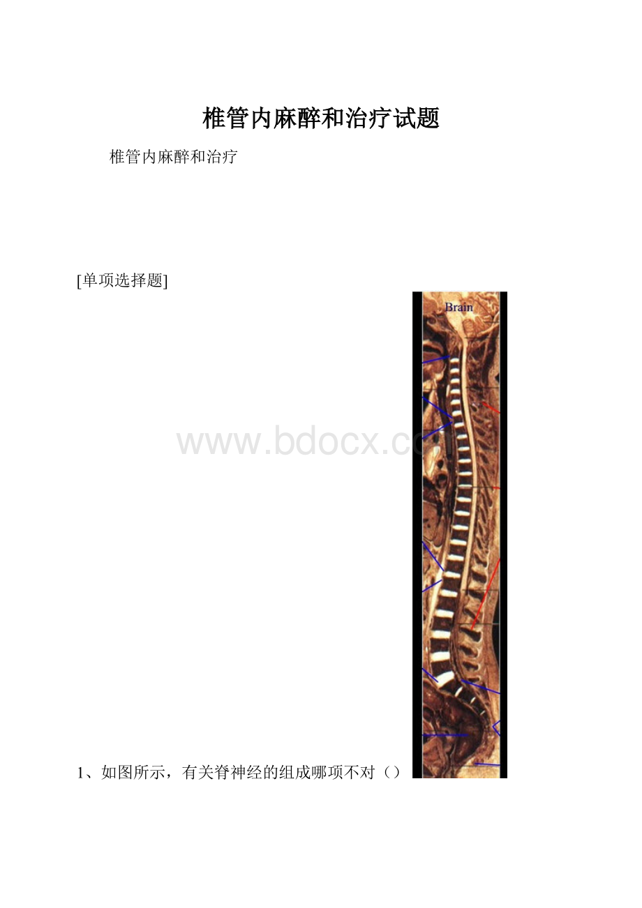 椎管内麻醉和治疗试题.docx