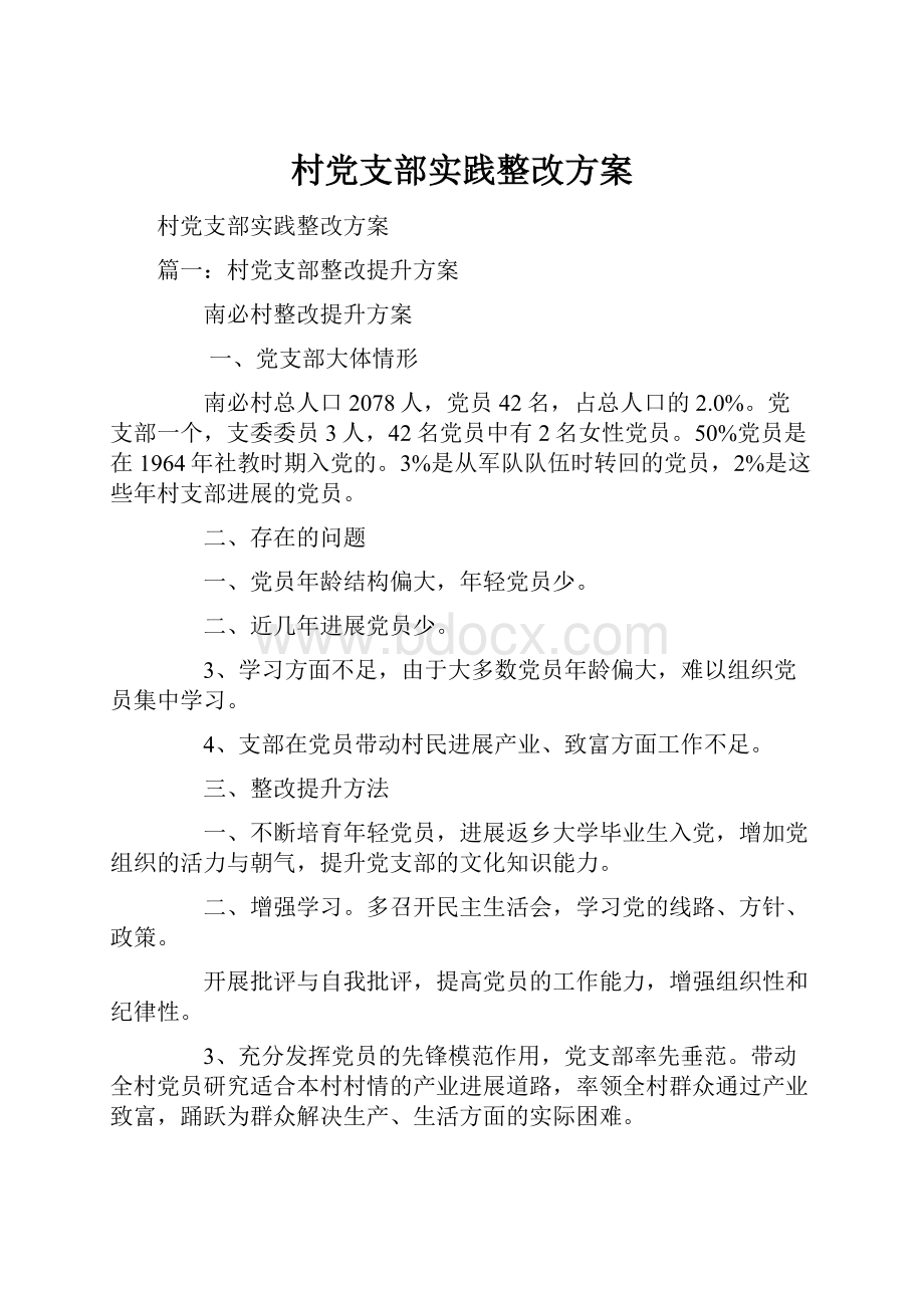 村党支部实践整改方案.docx