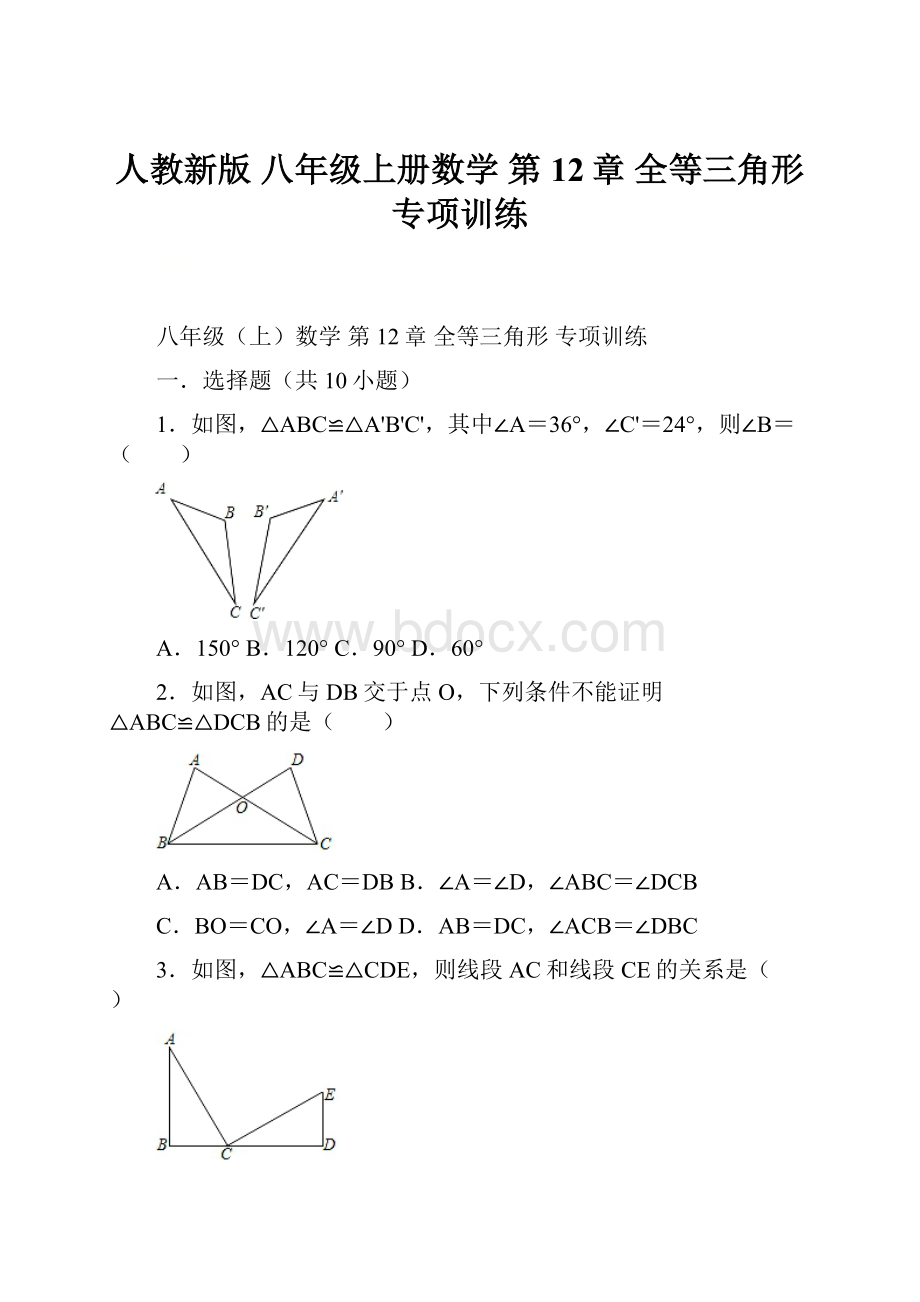 人教新版 八年级上册数学 第12章 全等三角形专项训练.docx