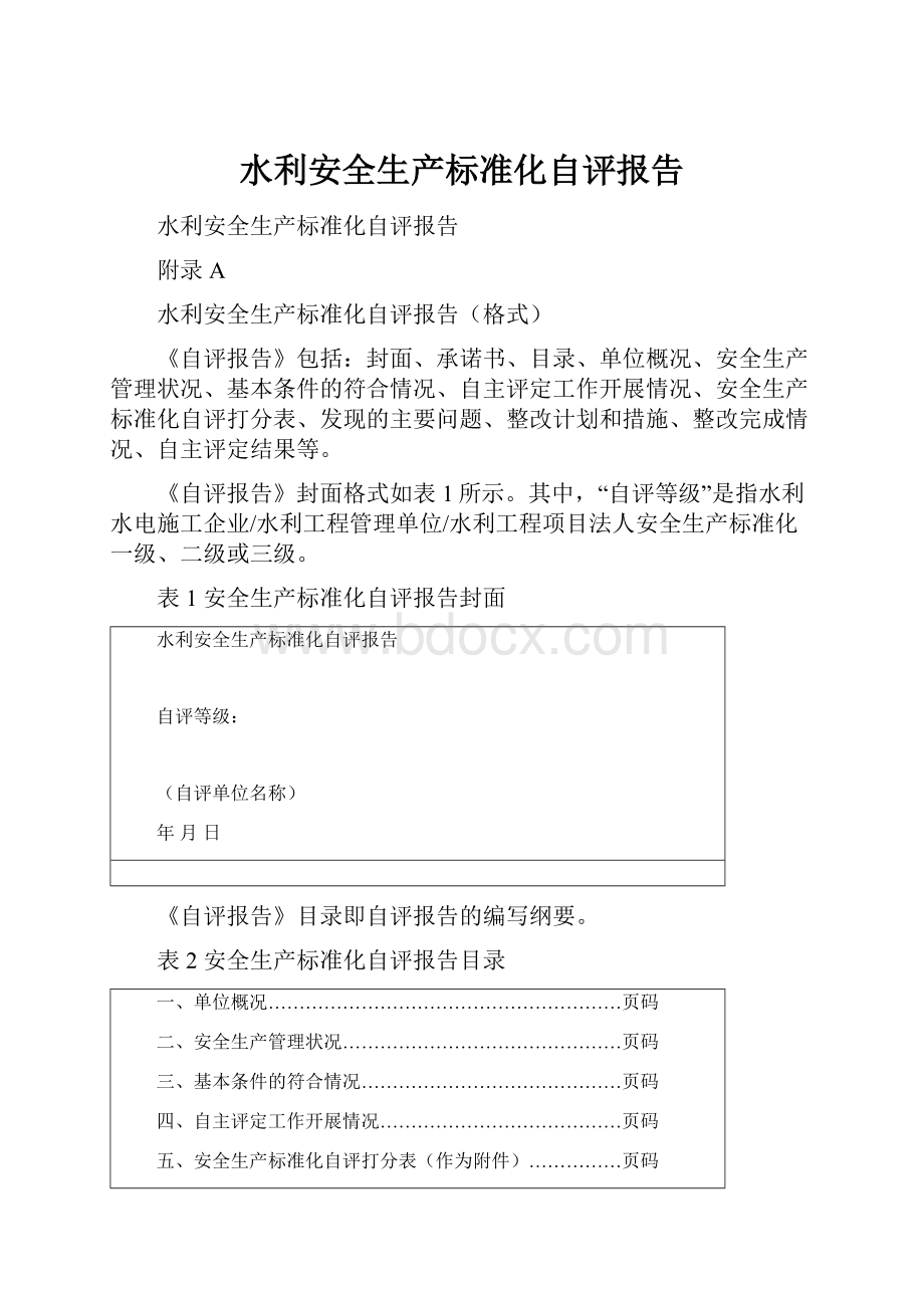 水利安全生产标准化自评报告.docx_第1页