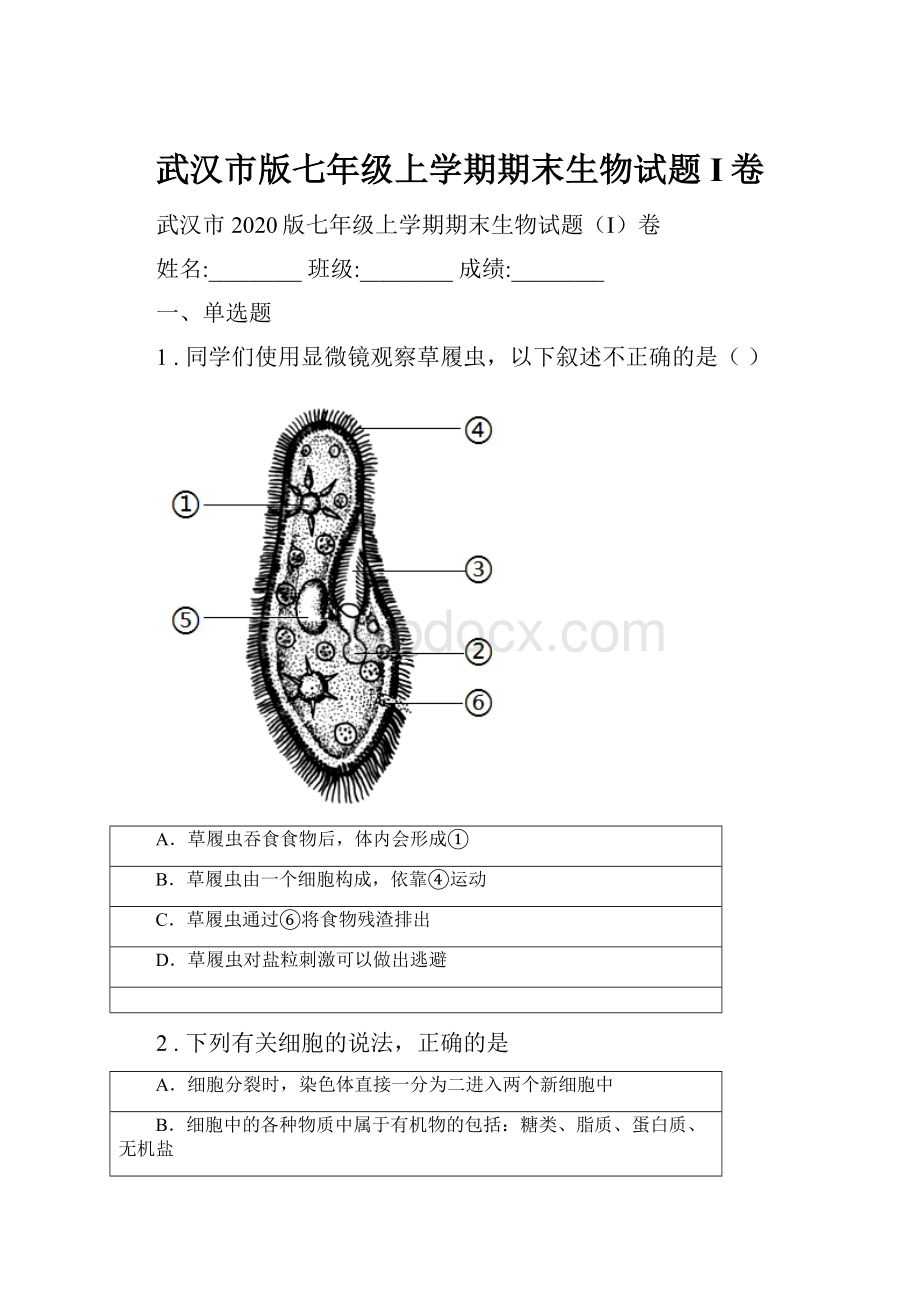 武汉市版七年级上学期期末生物试题I卷.docx