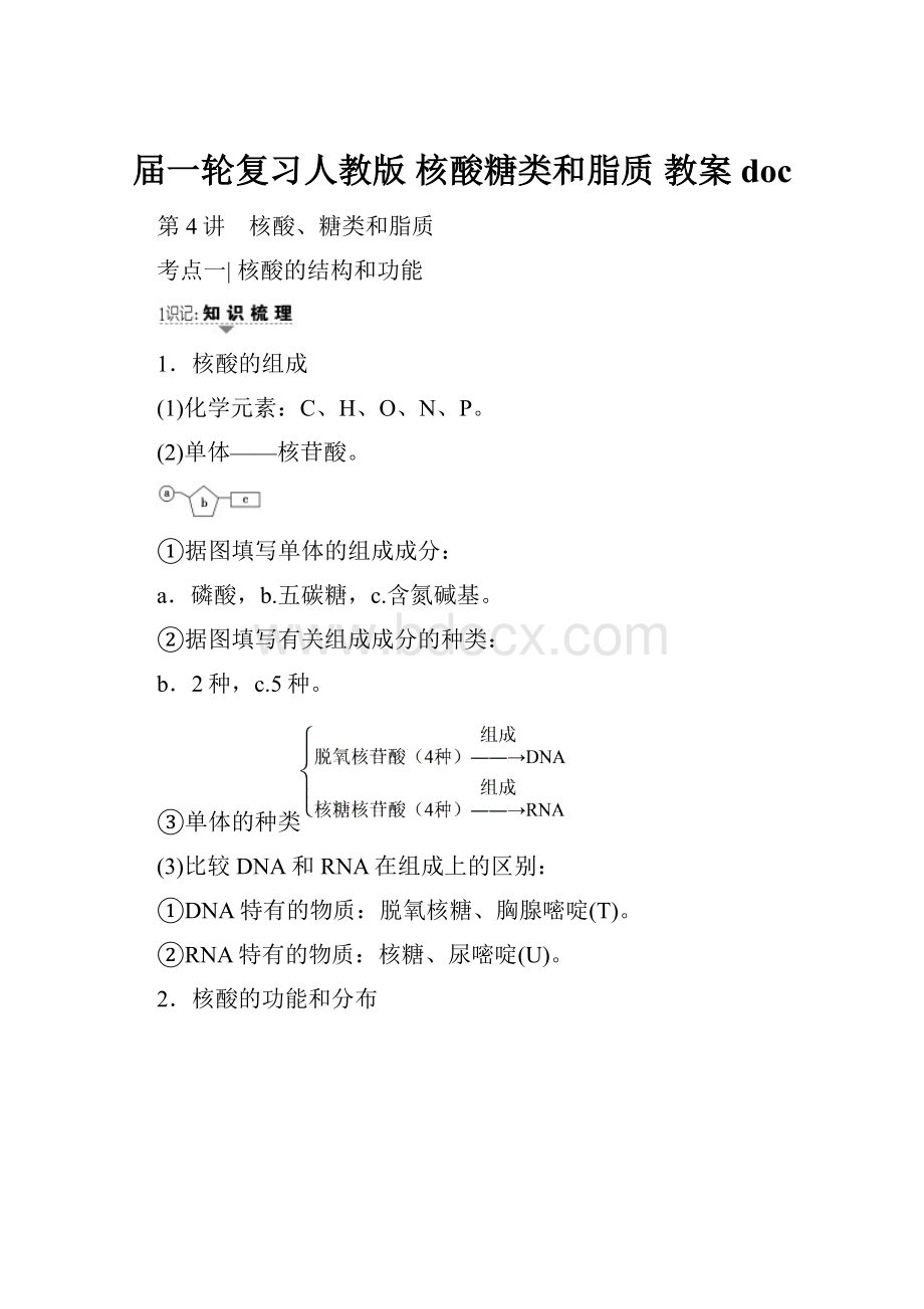 届一轮复习人教版 核酸糖类和脂质 教案doc.docx_第1页