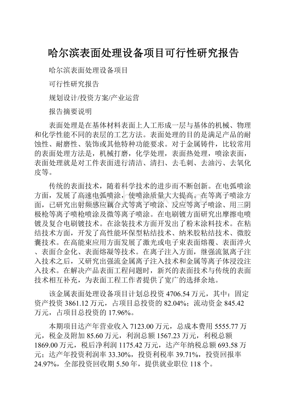 哈尔滨表面处理设备项目可行性研究报告.docx_第1页