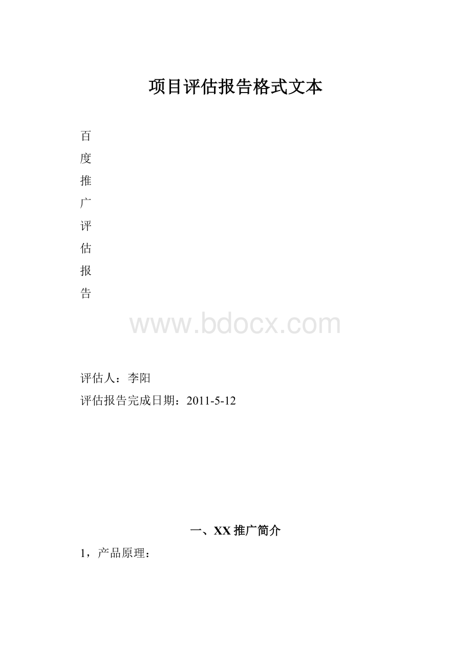 项目评估报告格式文本.docx