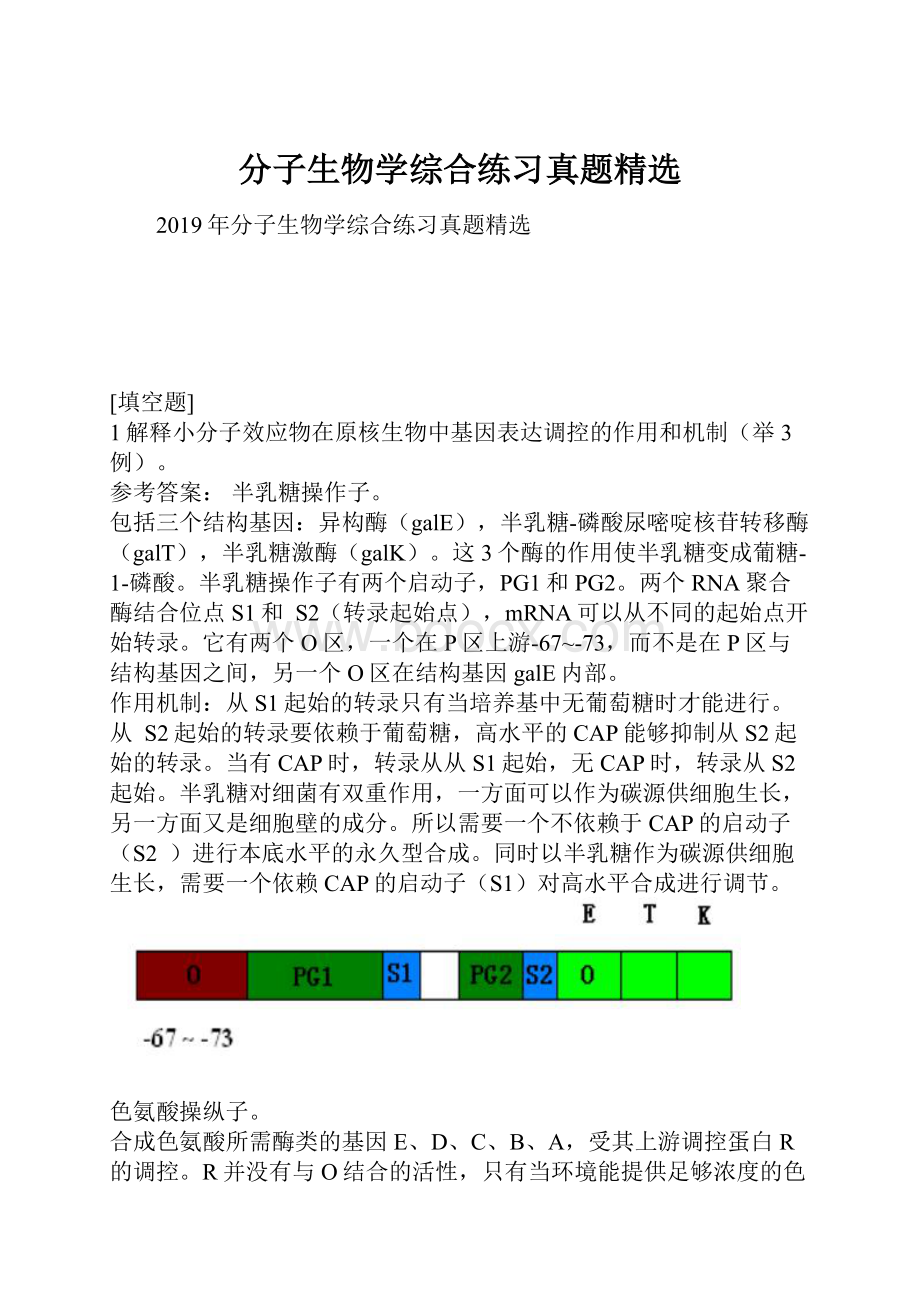 分子生物学综合练习真题精选.docx