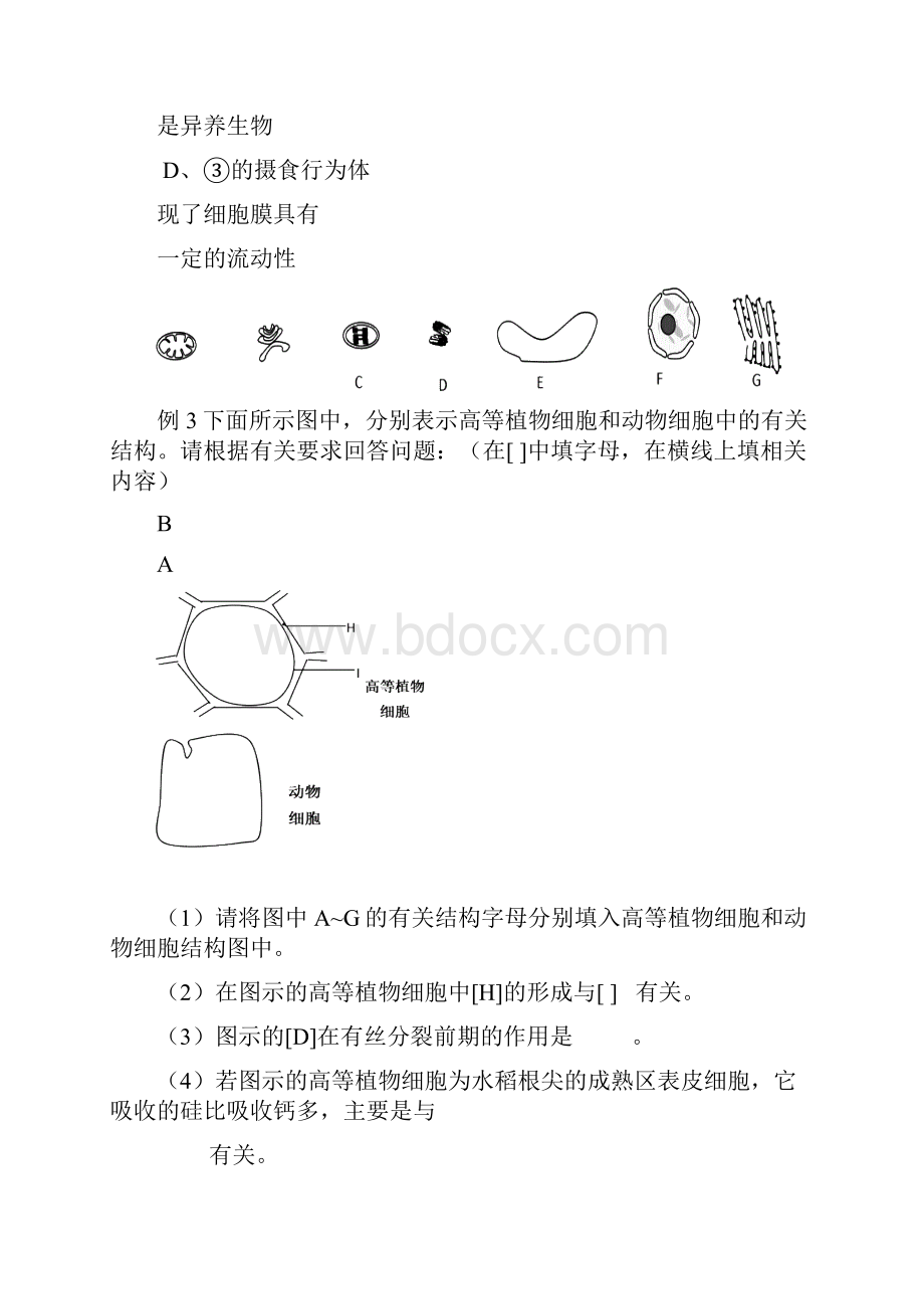 58高考生物小专题综合复习教案生命活动的结构基础专题58.docx_第2页