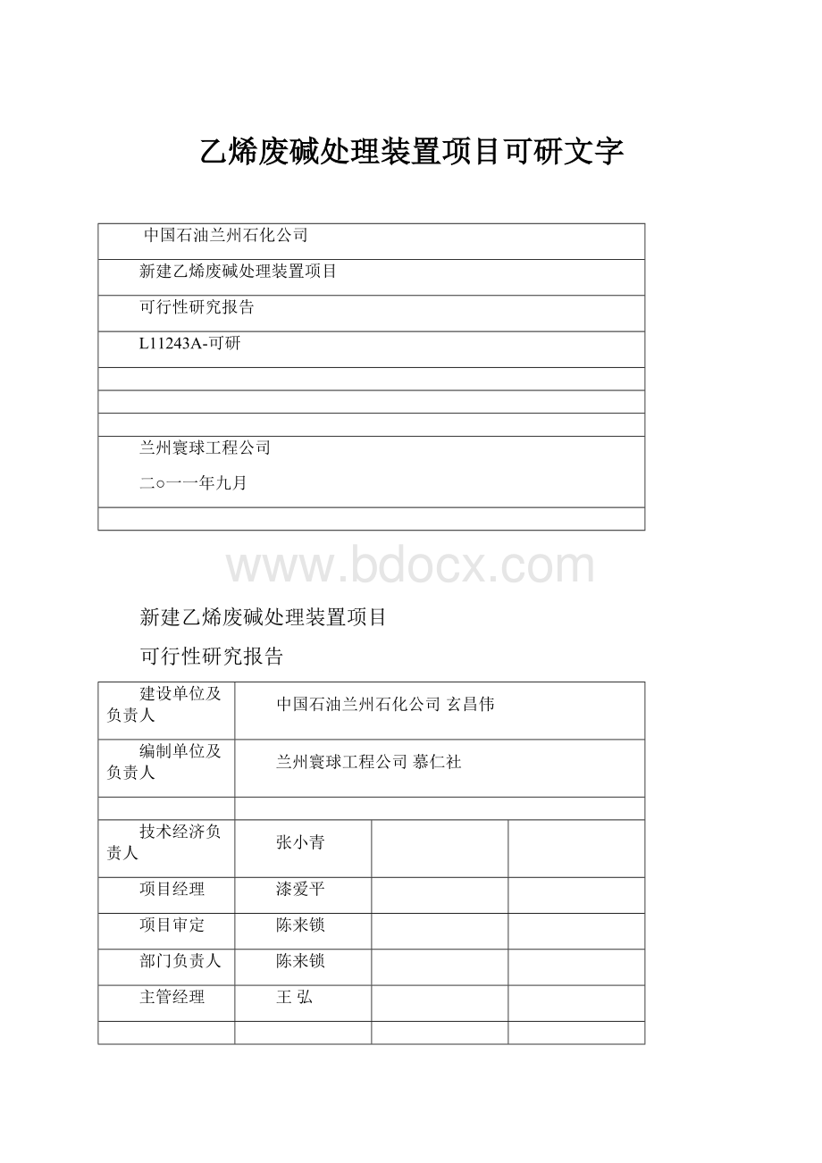 乙烯废碱处理装置项目可研文字.docx_第1页