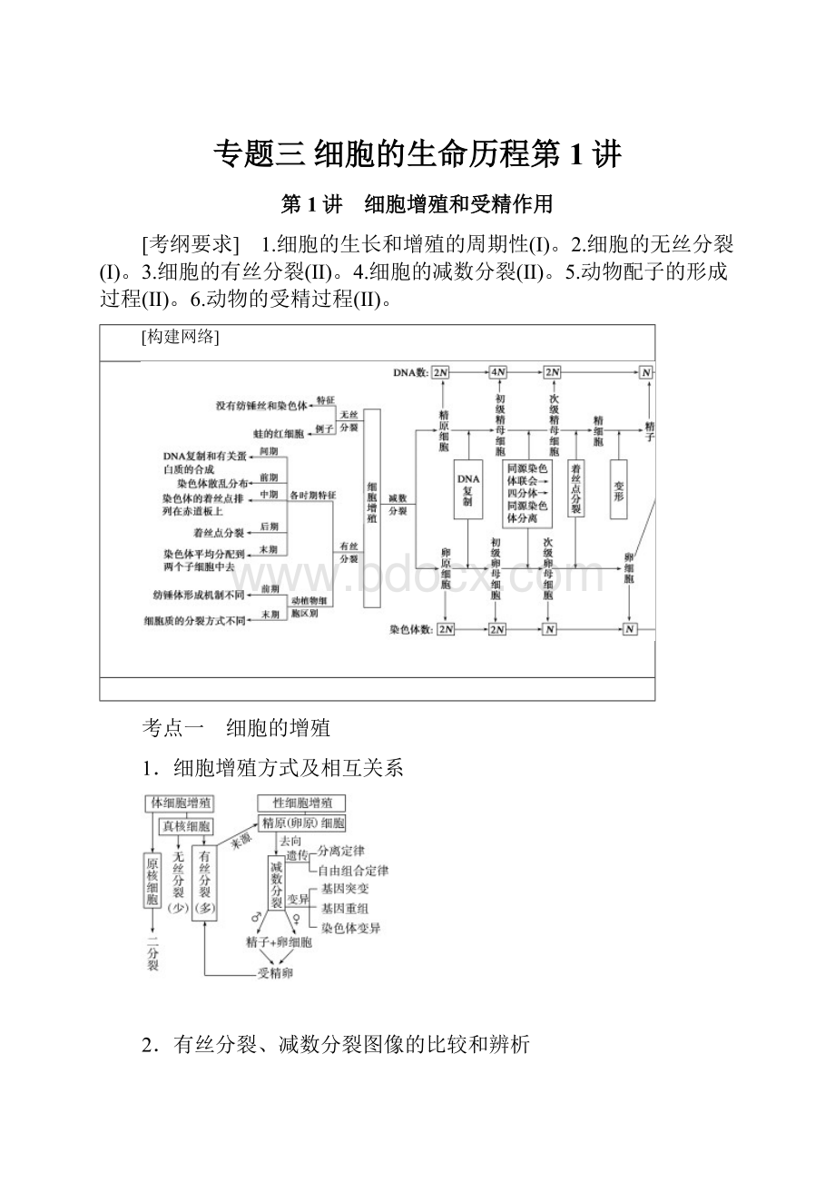专题三 细胞的生命历程第1讲.docx