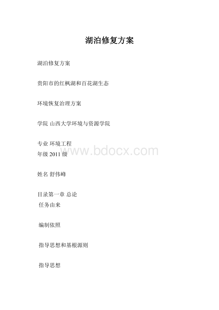 湖泊修复方案.docx