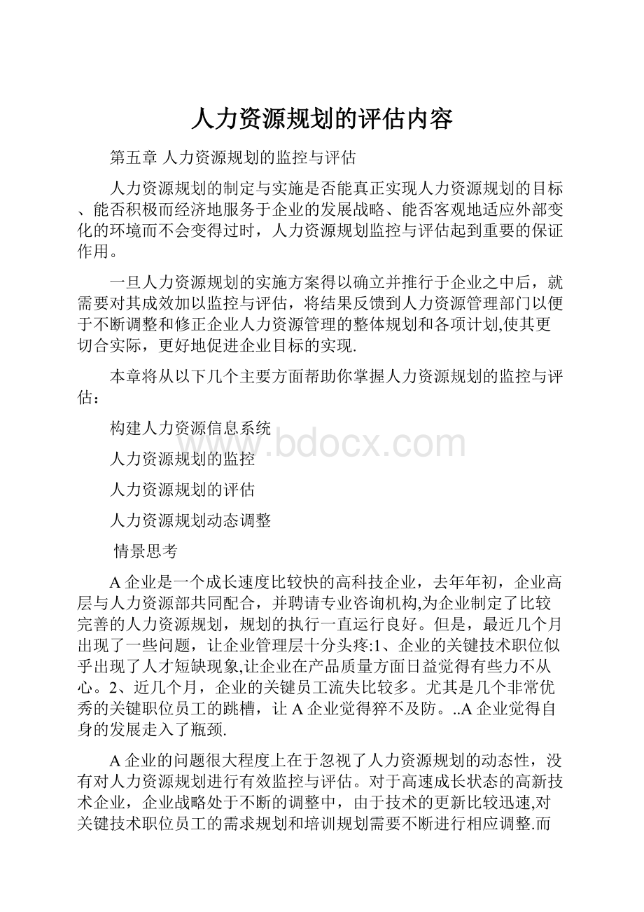 人力资源规划的评估内容.docx