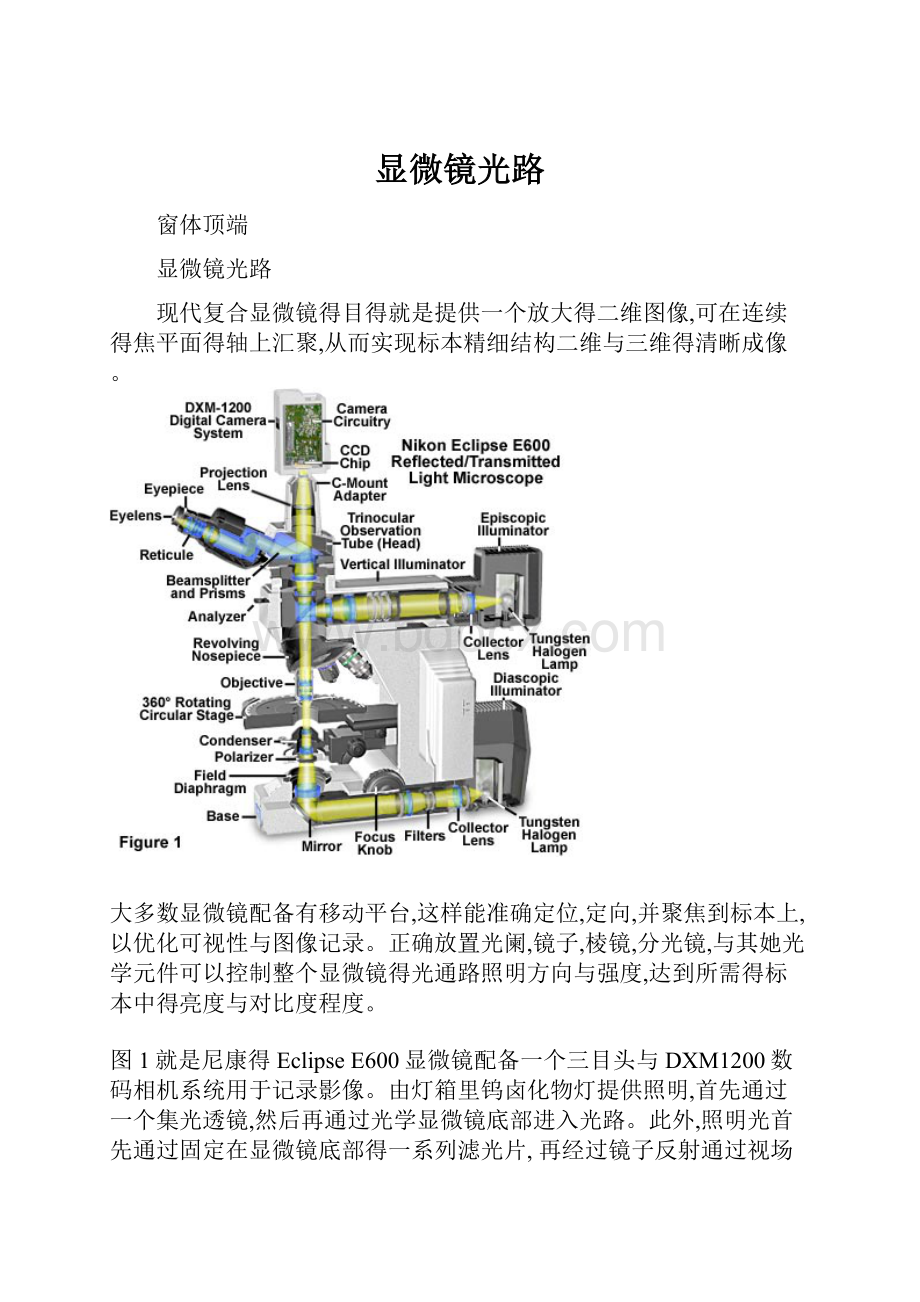 显微镜光路.docx_第1页