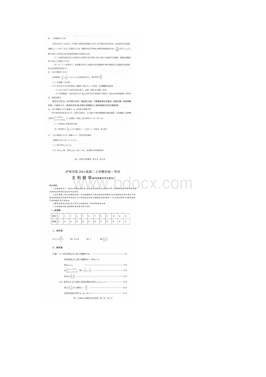 泸州市高级上学期期末统一考试数学文试题+答案.docx_第3页