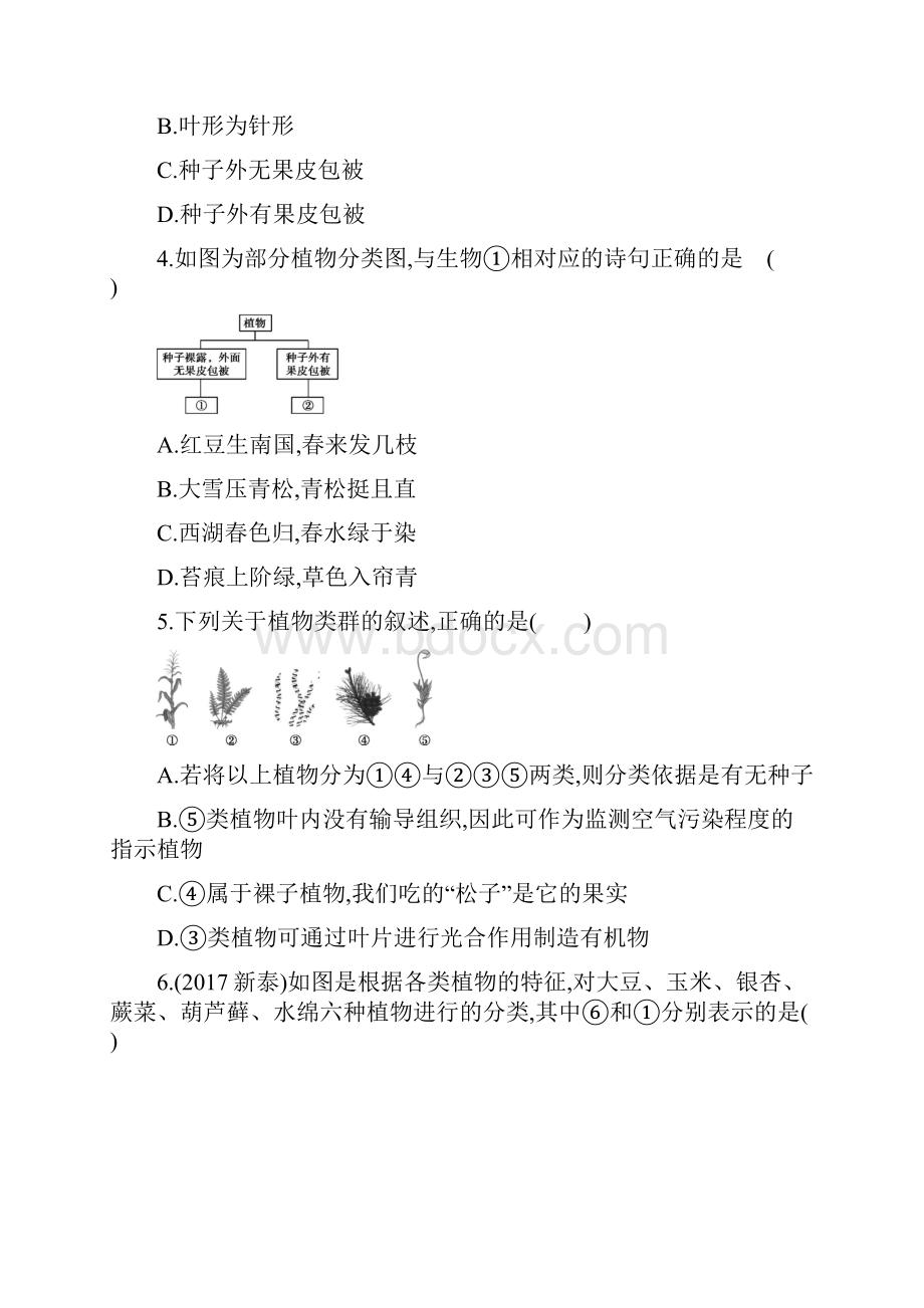 泰安中考生物 第4课时 生物圈中有哪些绿色植物可编辑word.docx_第2页