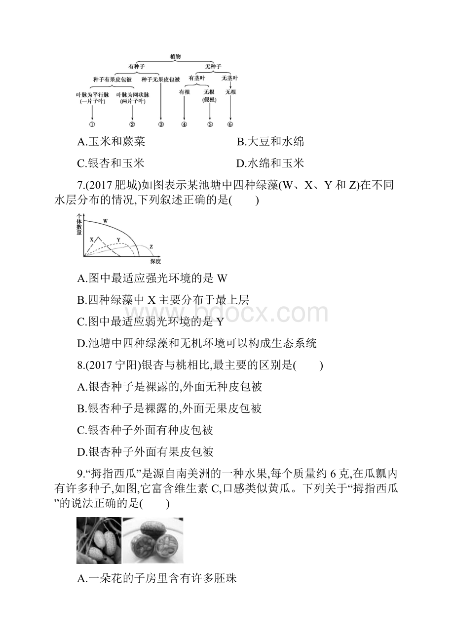 泰安中考生物 第4课时 生物圈中有哪些绿色植物可编辑word.docx_第3页