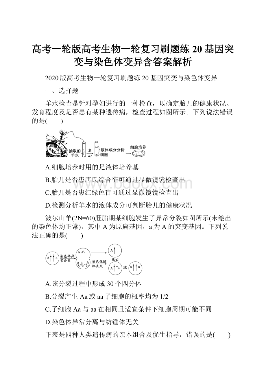 高考一轮版高考生物一轮复习刷题练20 基因突变与染色体变异含答案解析.docx