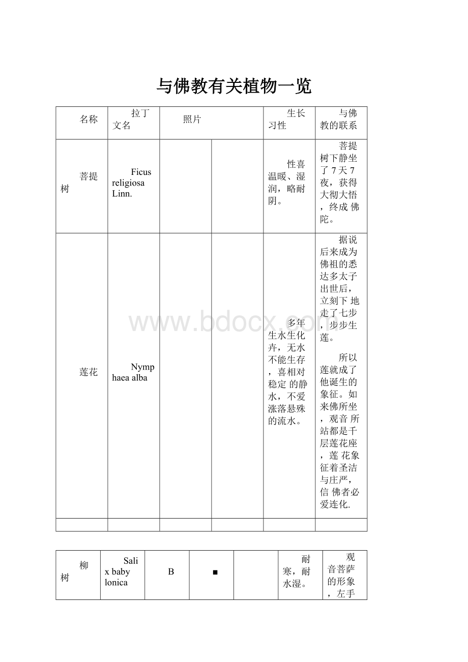 与佛教有关植物一览.docx_第1页