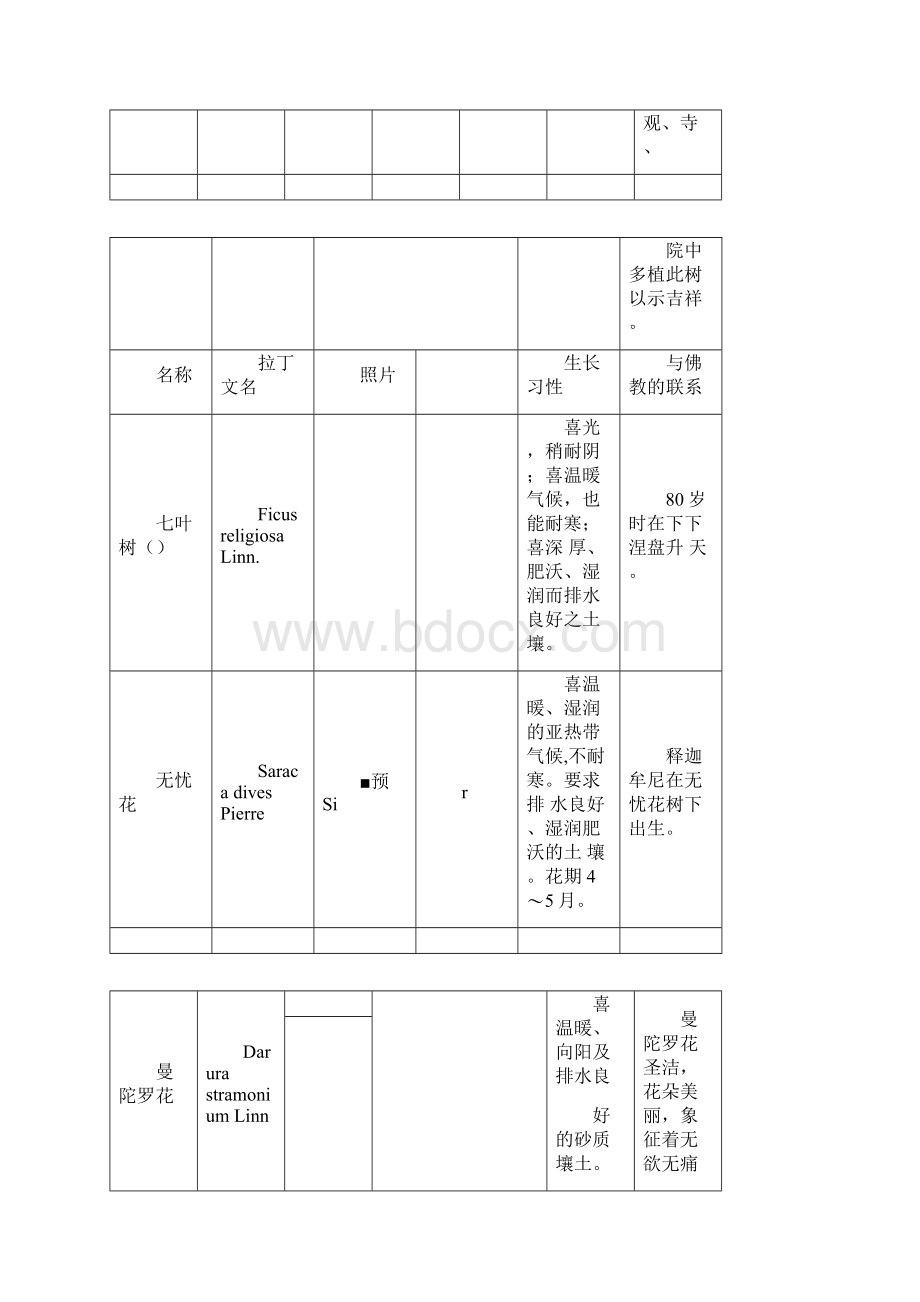 与佛教有关植物一览.docx_第3页