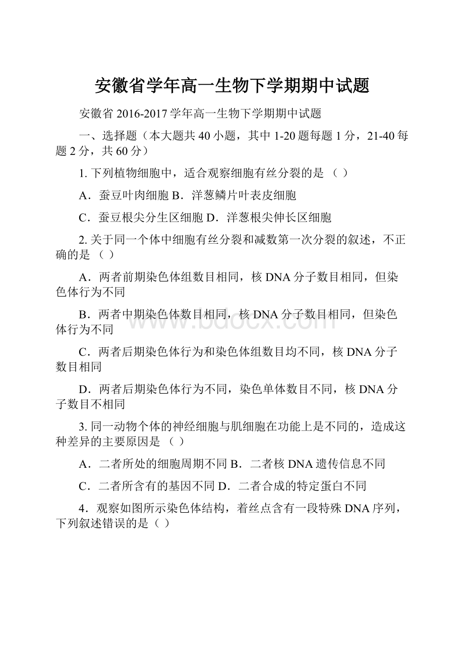 安徽省学年高一生物下学期期中试题.docx