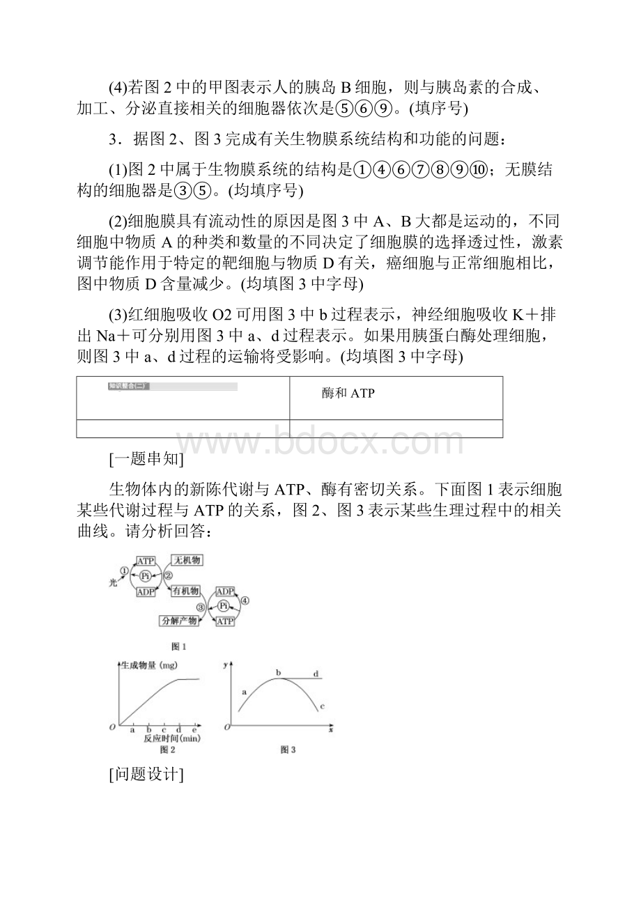 高考生物一二轮衔接寒假作业.docx_第3页