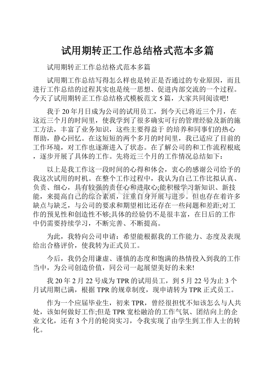 试用期转正工作总结格式范本多篇.docx_第1页