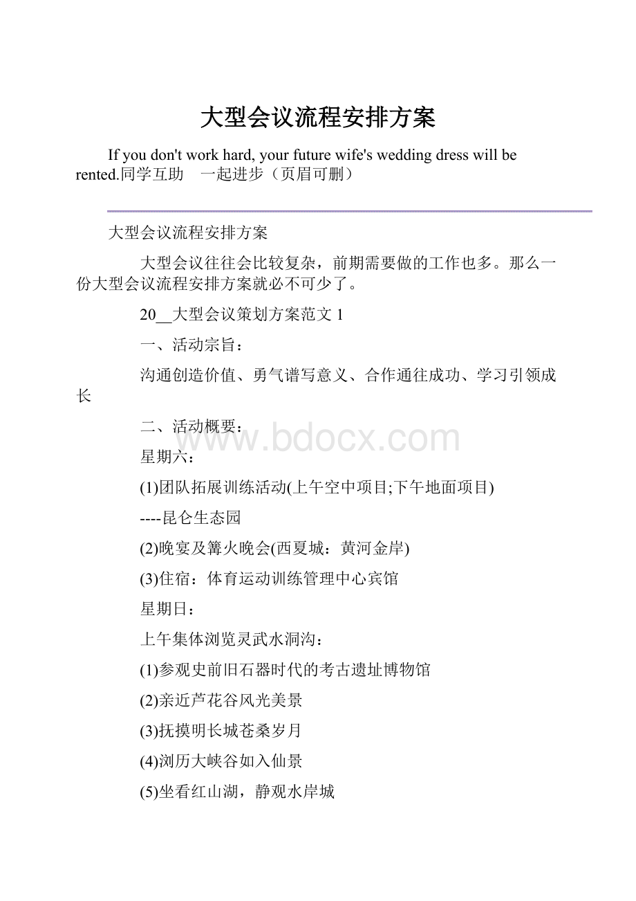 大型会议流程安排方案.docx_第1页