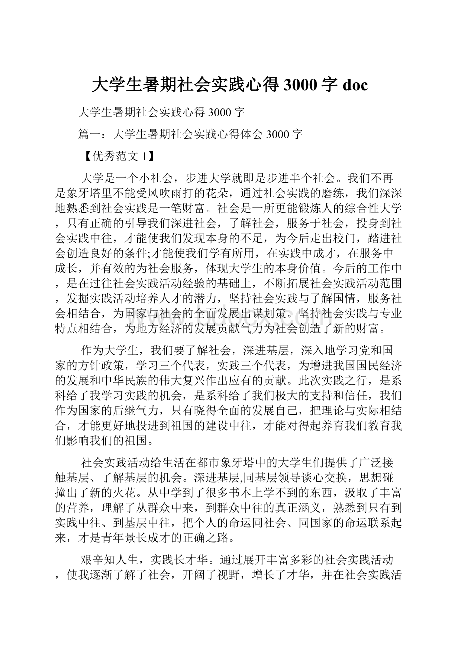 大学生暑期社会实践心得3000字doc.docx