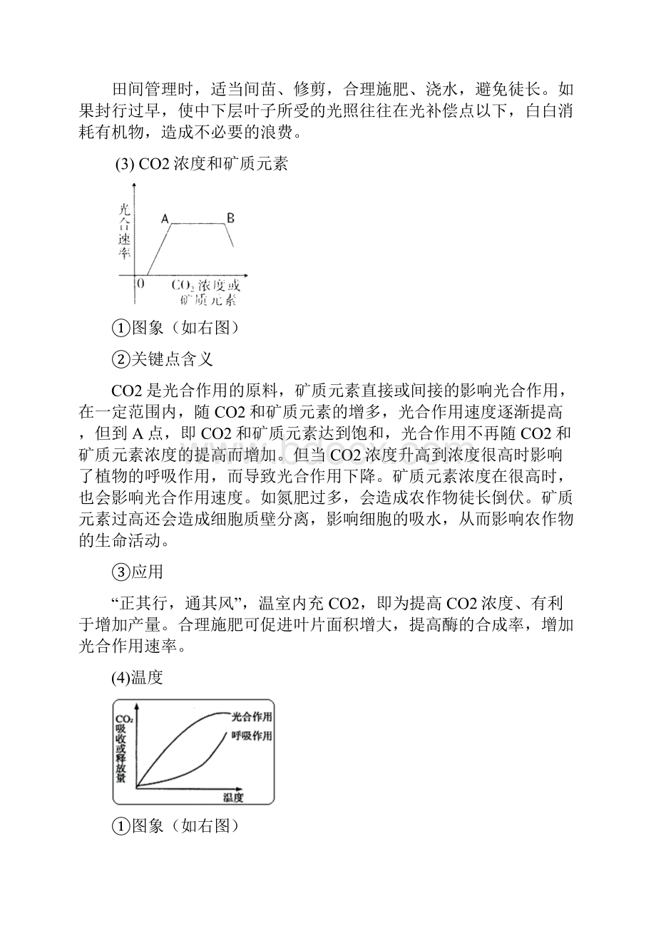 高考生物光合作用和呼吸作用专题复习讲义.docx_第3页