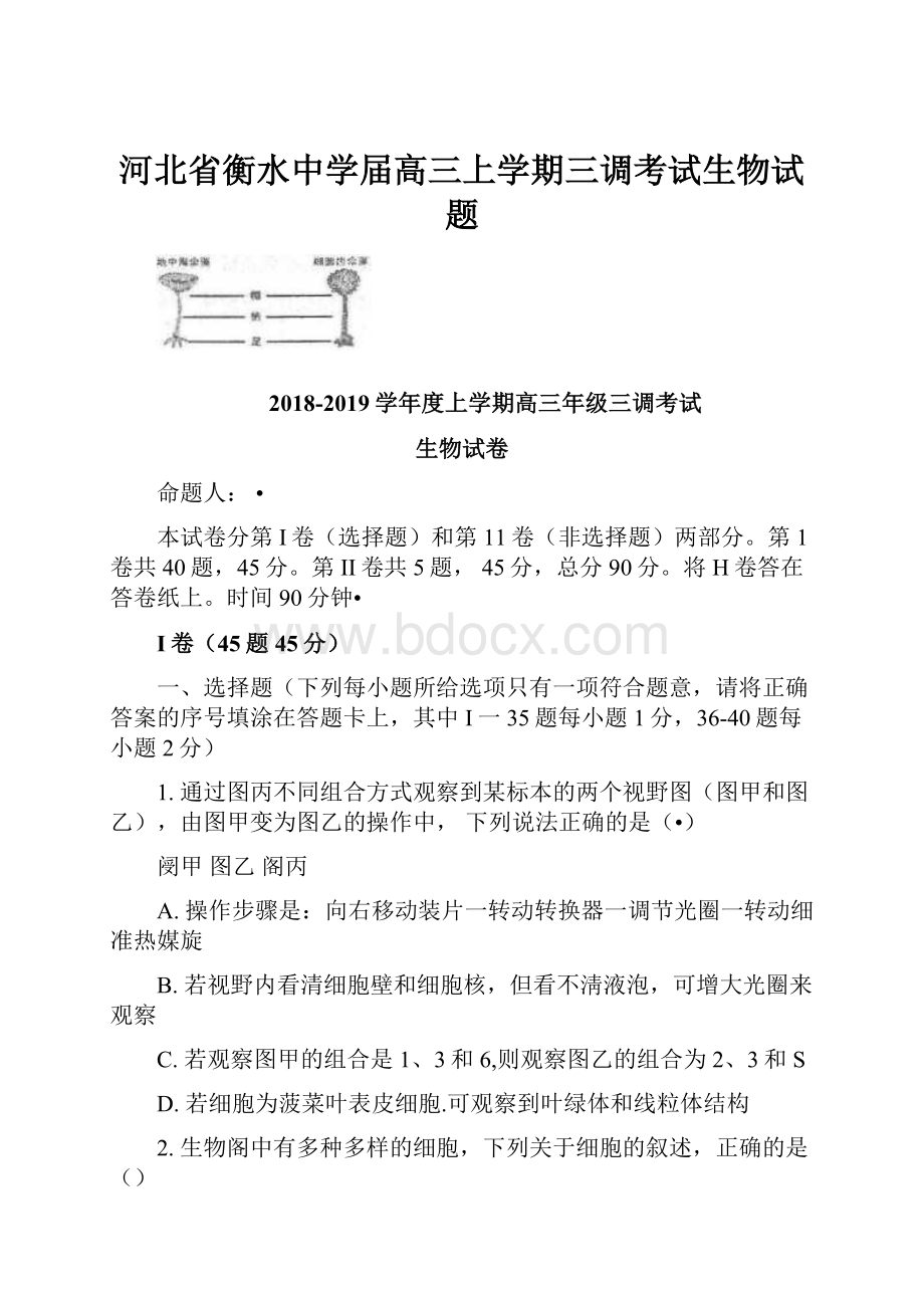 河北省衡水中学届高三上学期三调考试生物试题.docx