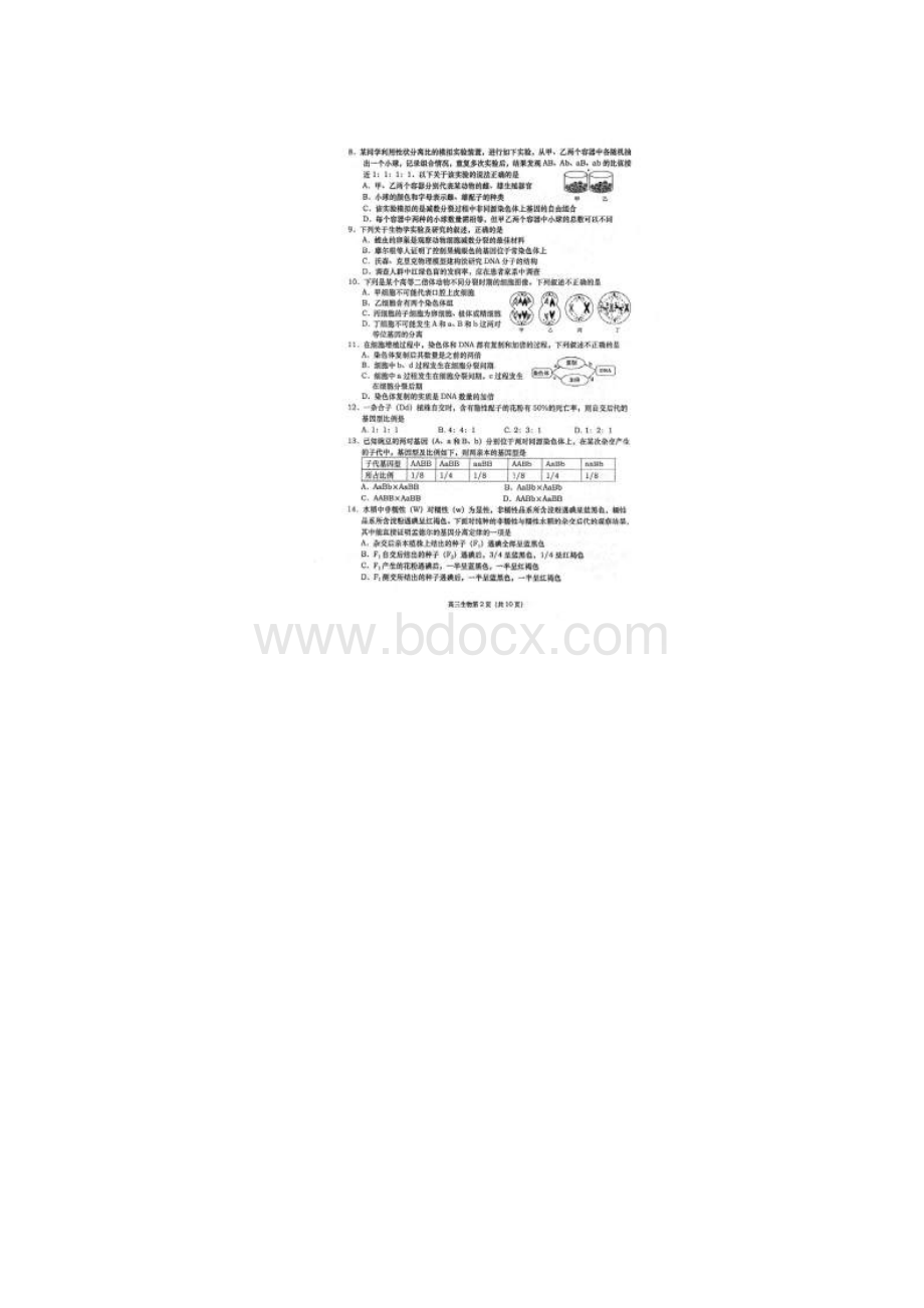 山东省胶州市普通高中届高三上学期期中考试生物试.docx_第3页