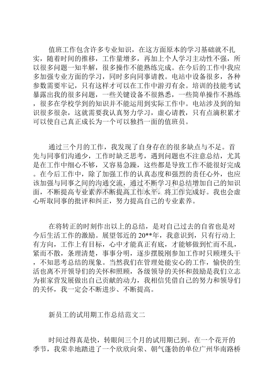 新员工的试用期工作总结报告.docx_第2页