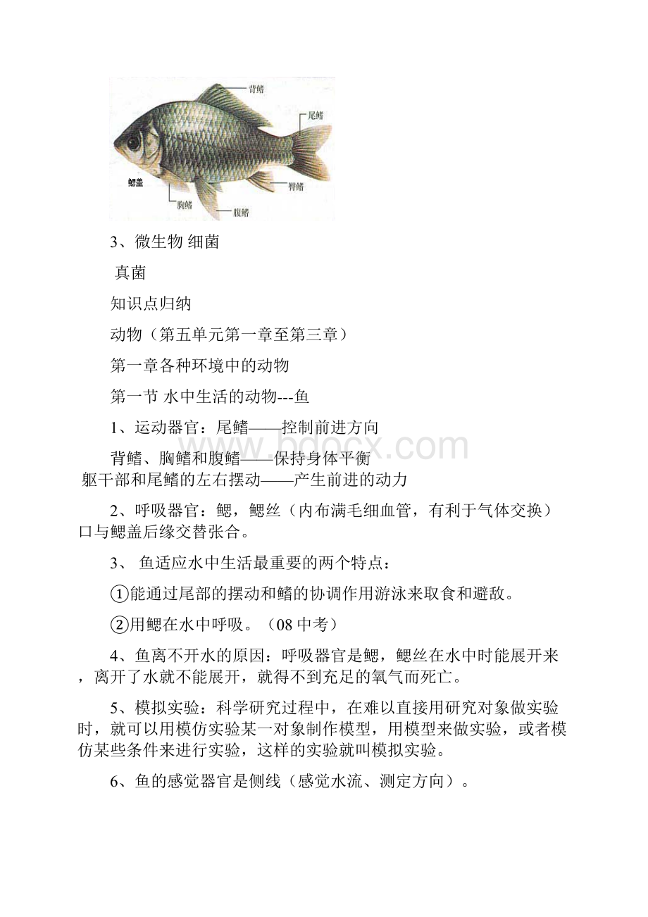 八年级生物上册 复习提纲素材 人教新课标版.docx_第2页