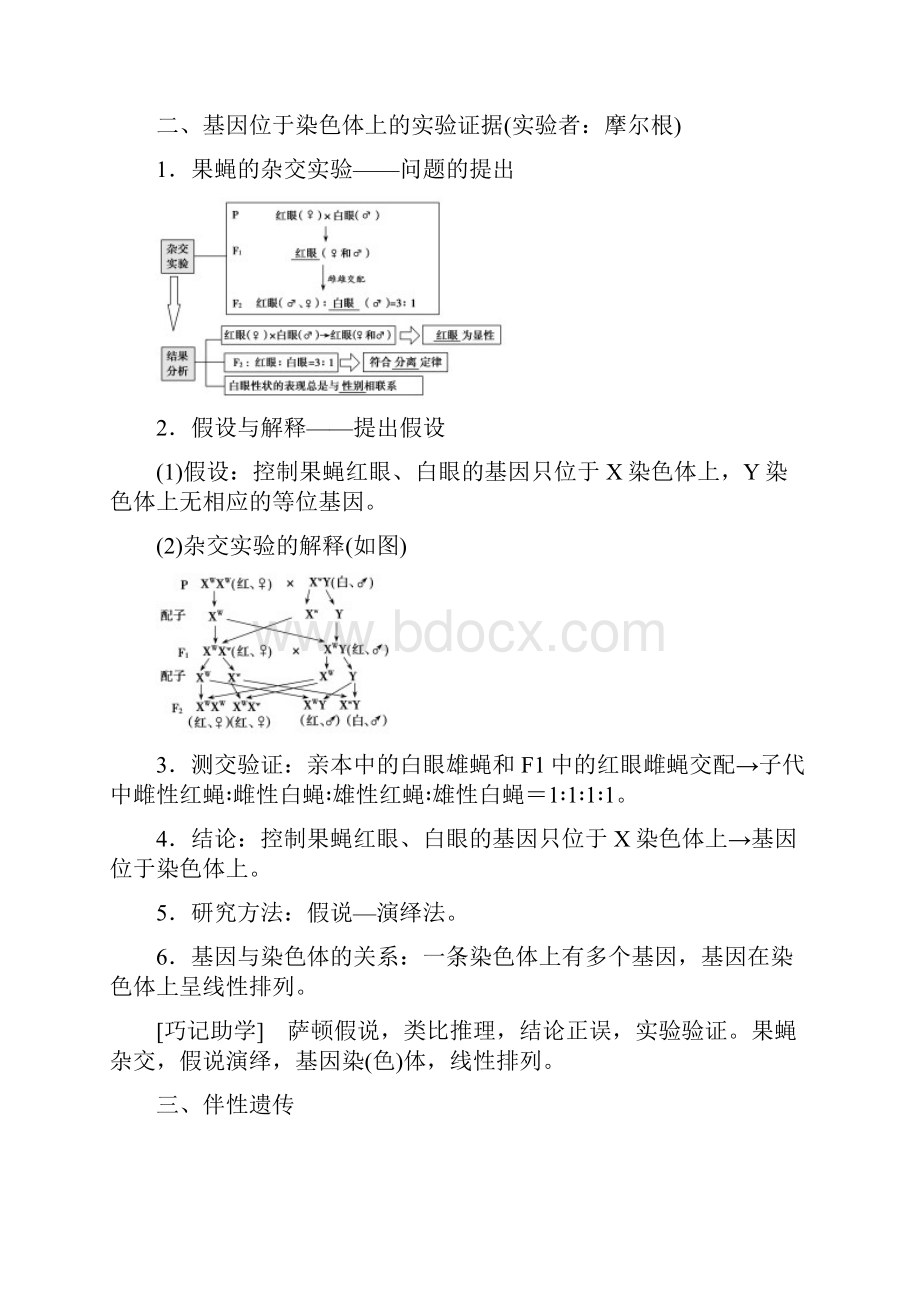 高考生物一轮复习第五单元遗传的基本规律第三讲基因在染色体上与伴性遗传学案新人教版.docx_第2页