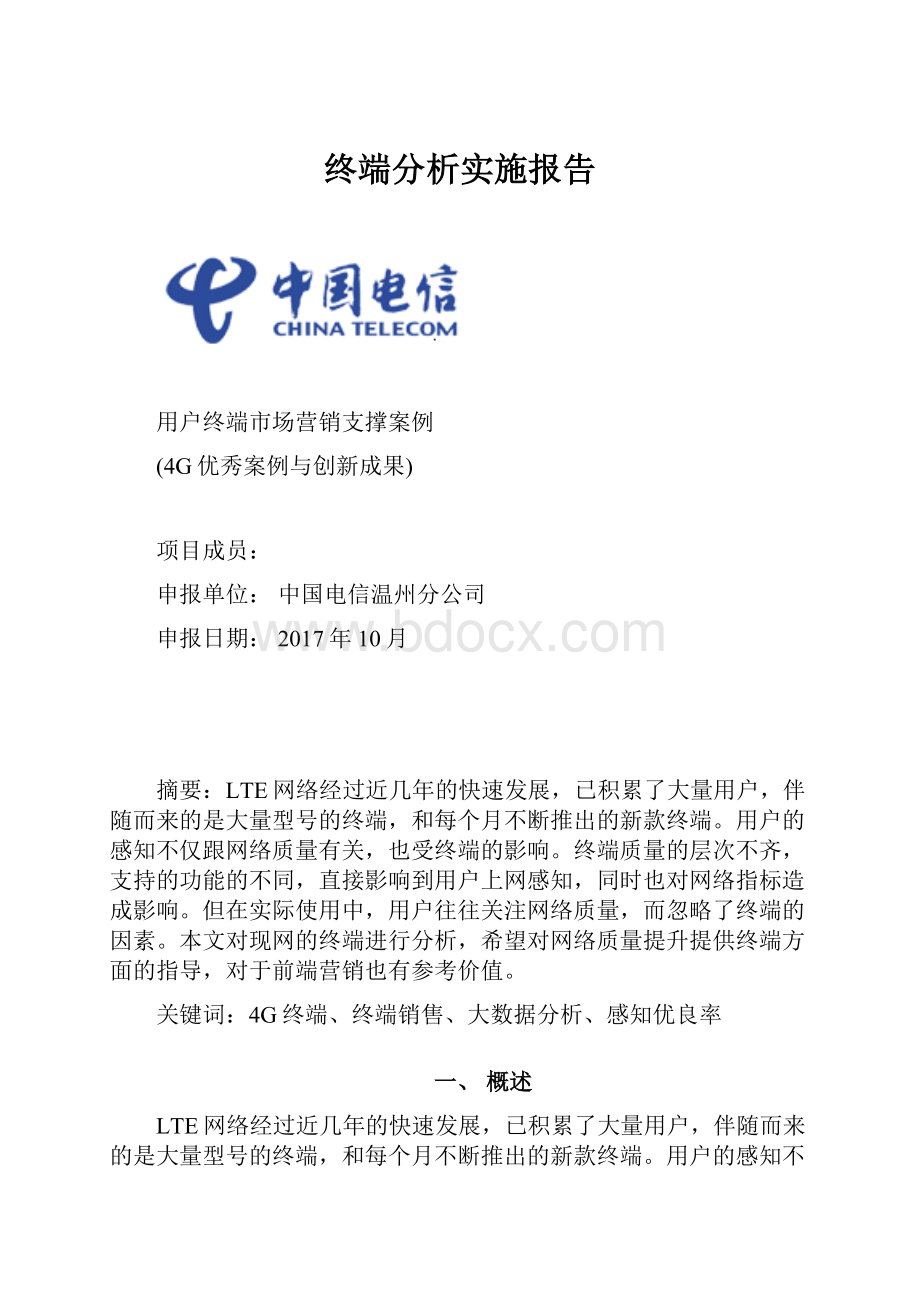 终端分析实施报告.docx