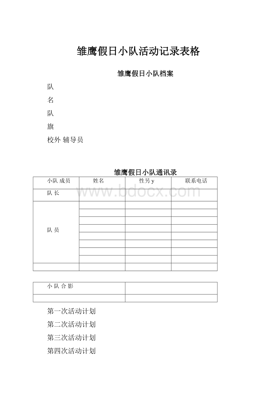 雏鹰假日小队活动记录表格.docx