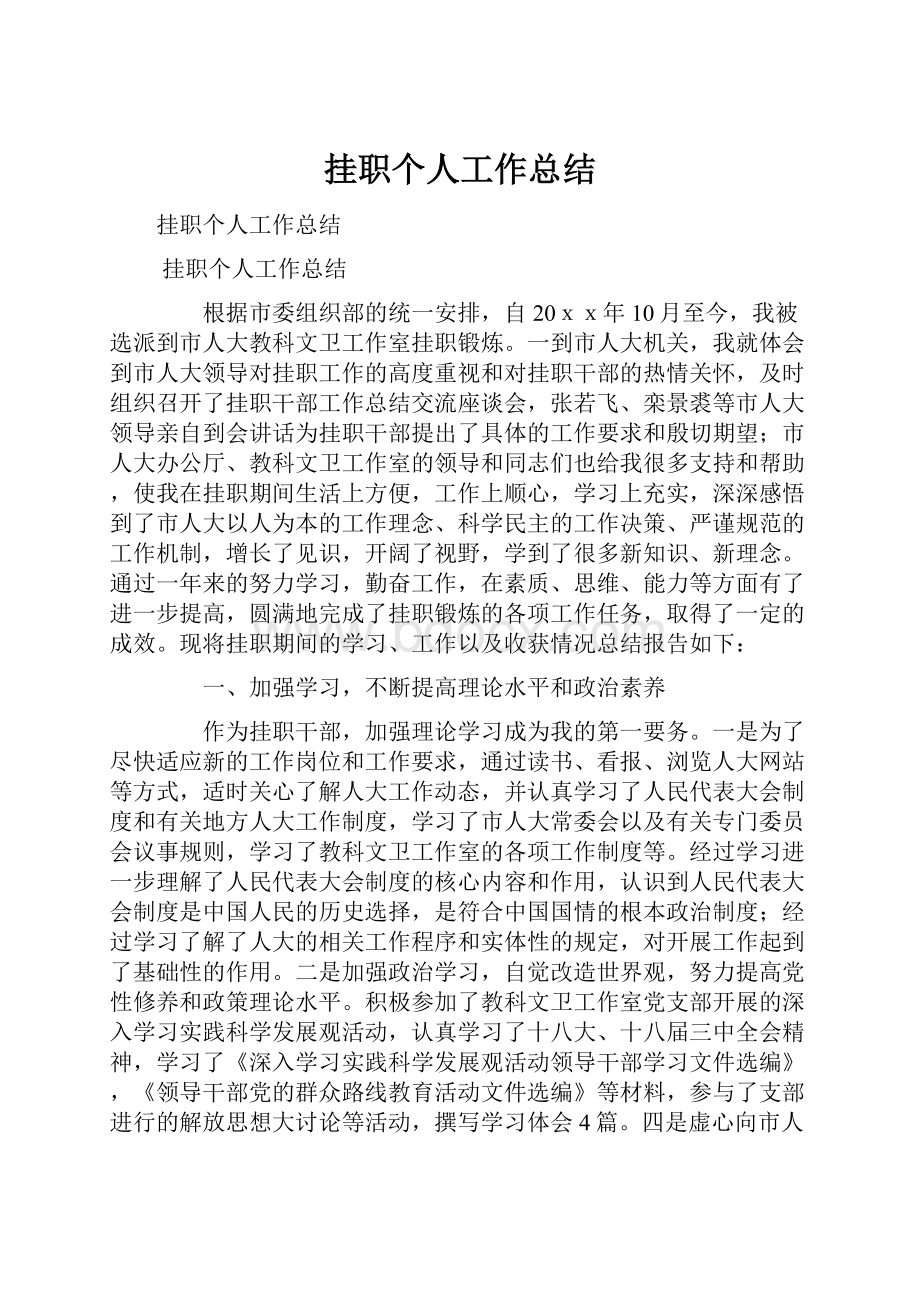 挂职个人工作总结.docx