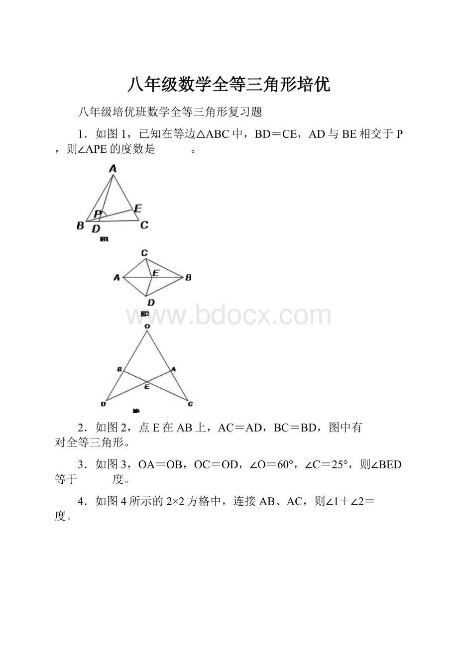 八年级数学全等三角形培优.docx_第1页